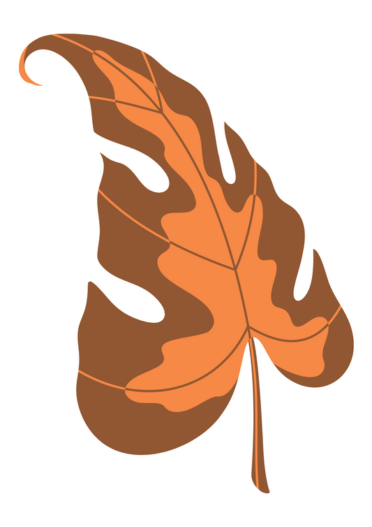 Fall