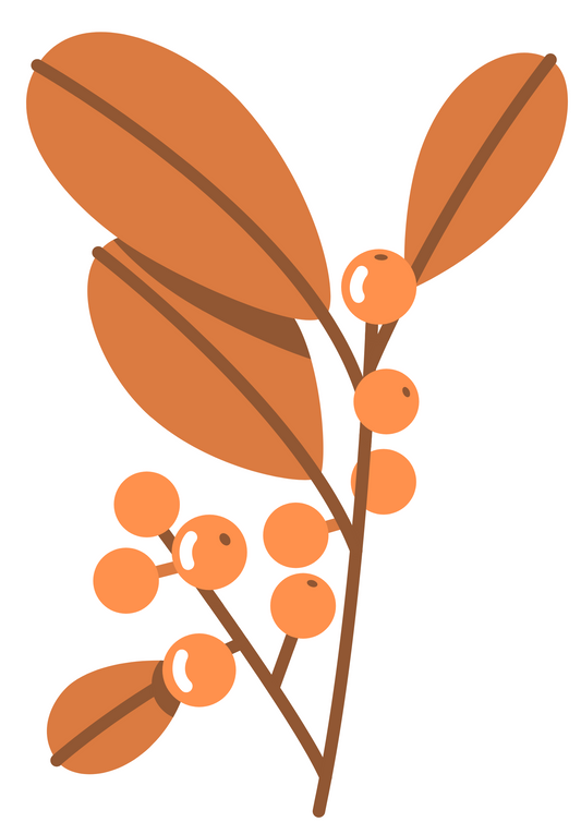 Berries